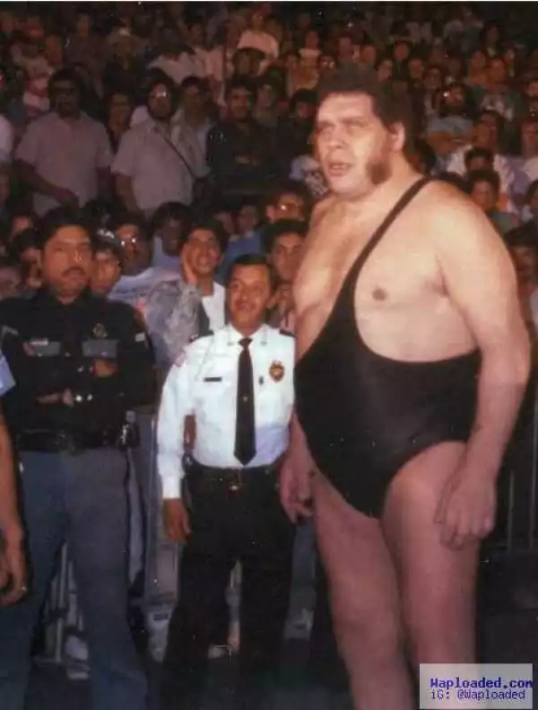 15 unbelievable photos of Andre the Giant that aren